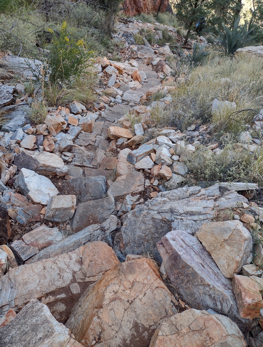 Some of the many sets of steep steps at Standley