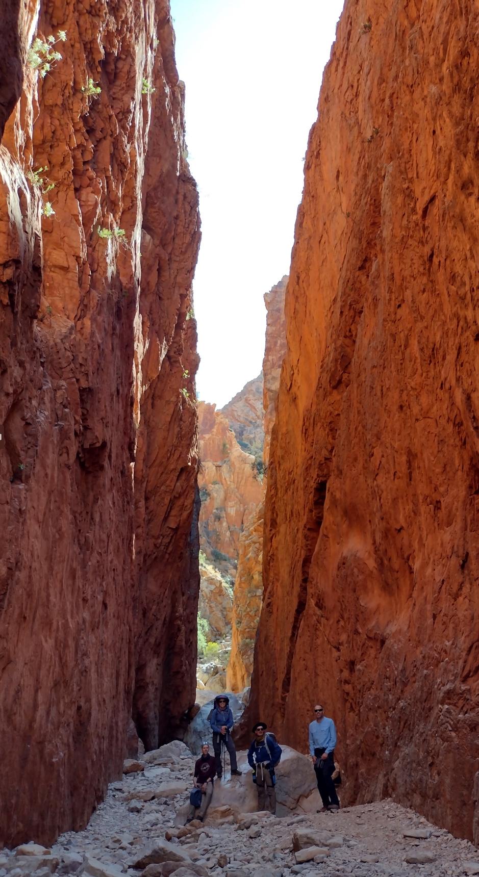 In the belly of the beast