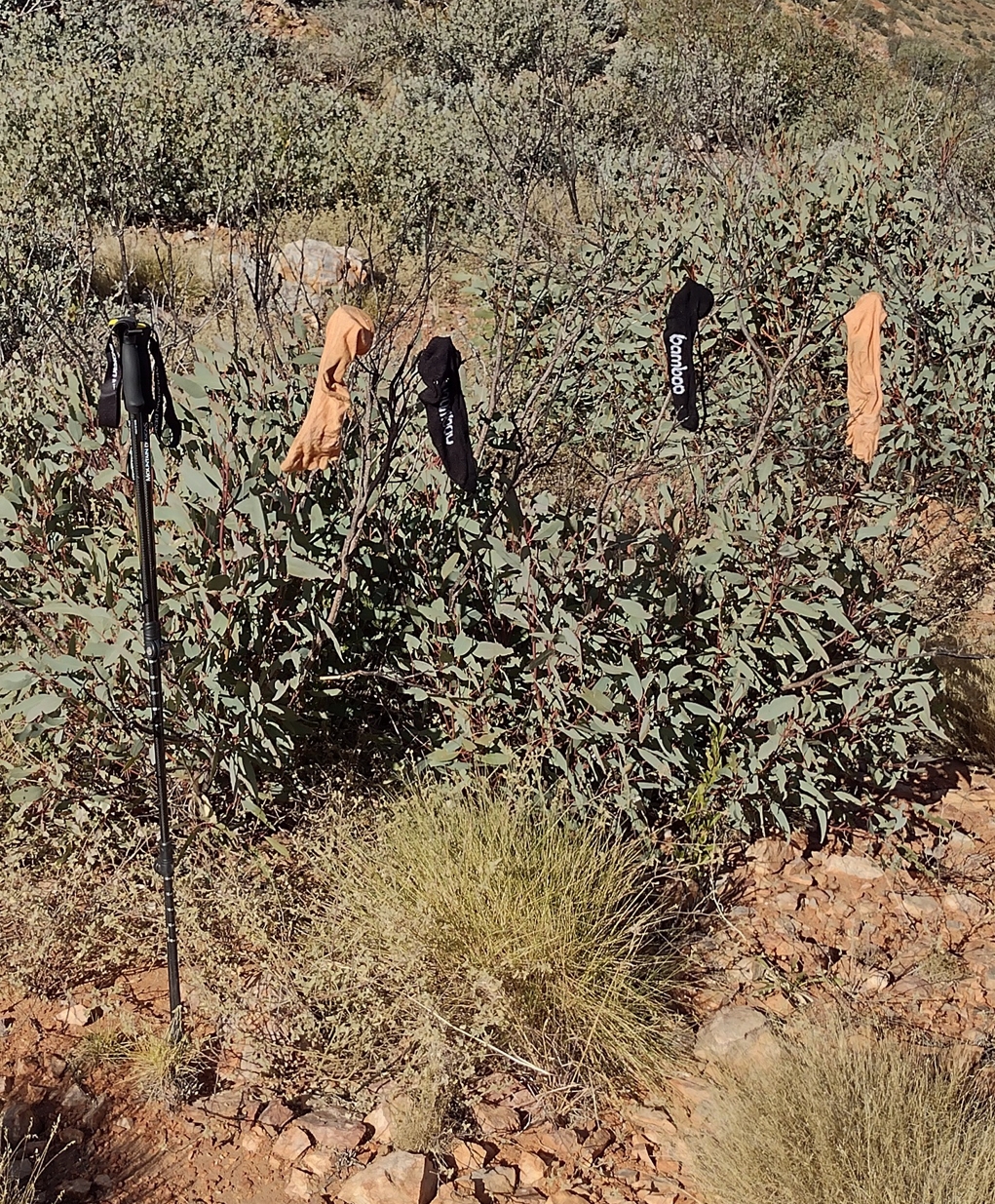 Socks off at Bridal Path Junction.