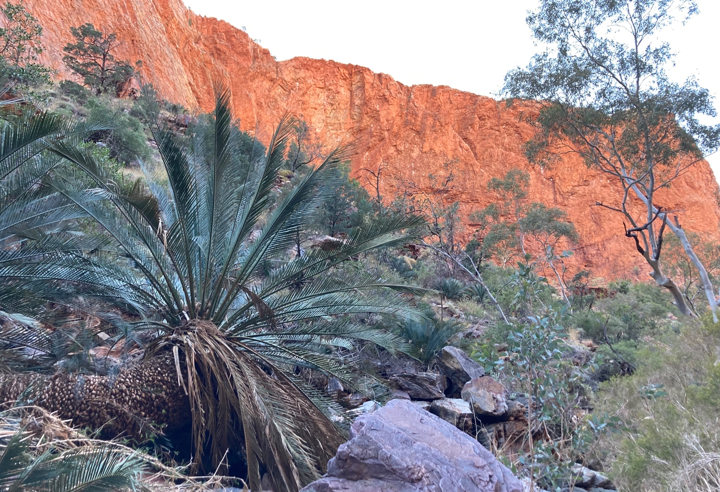 The ramparts above Hugh Gorge North.