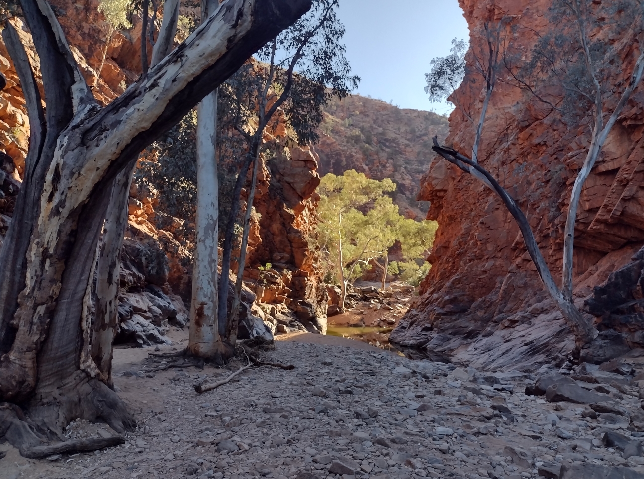 The mouth of Serpentine Gorge.