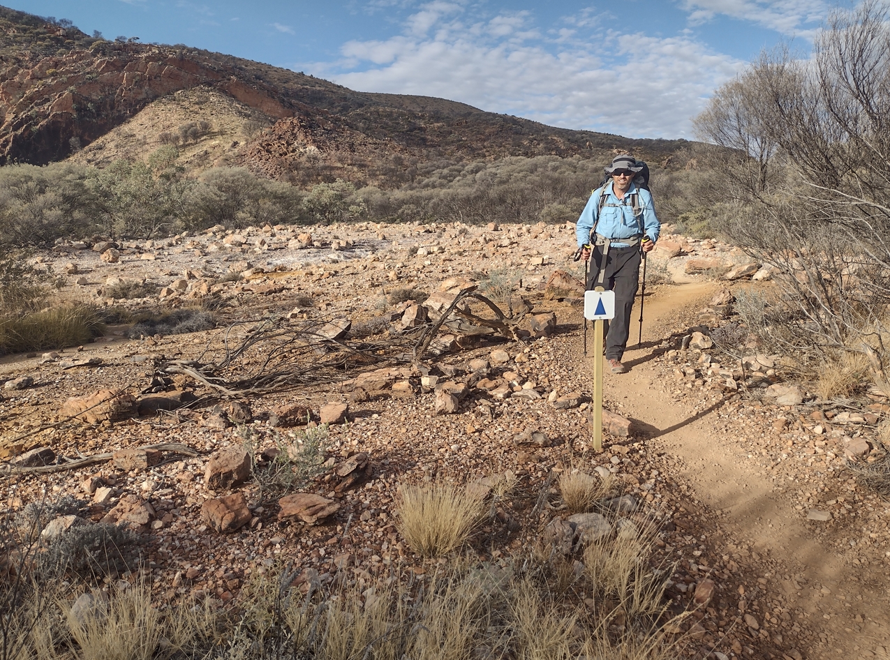 Fraser trudging through one of the curious yellow scalded clearings along this section of trail.