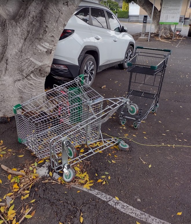 More abandoned shopping trolleys